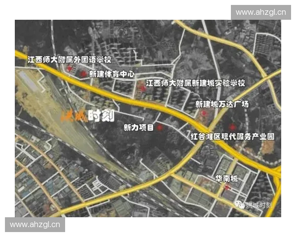 体育产业投资新机遇与风险分析全面解读